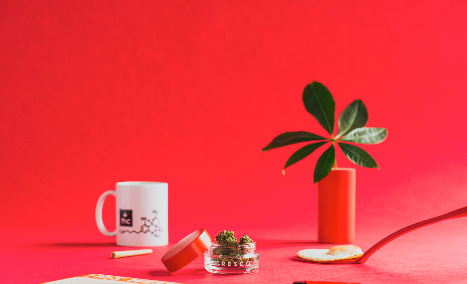 1500x912 zoerain cresco 01