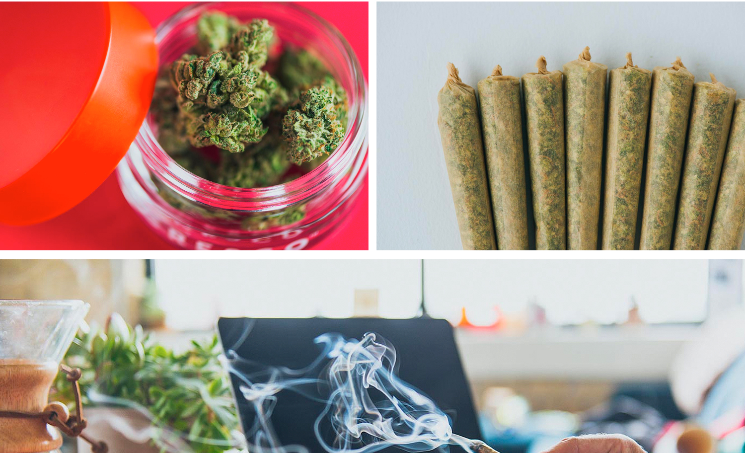 1500x912 zoerain cresco 08