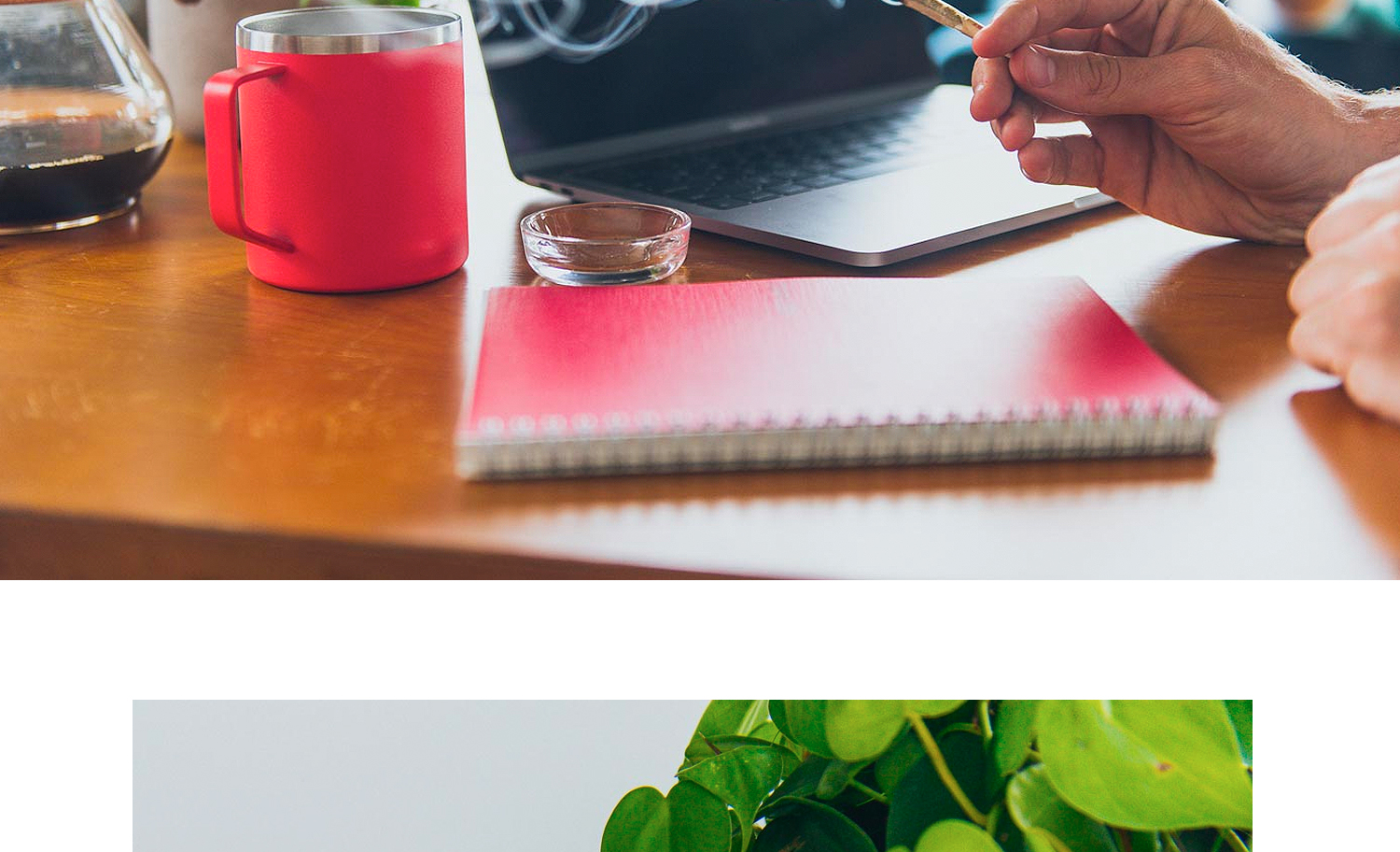 1500x912 zoerain cresco 09