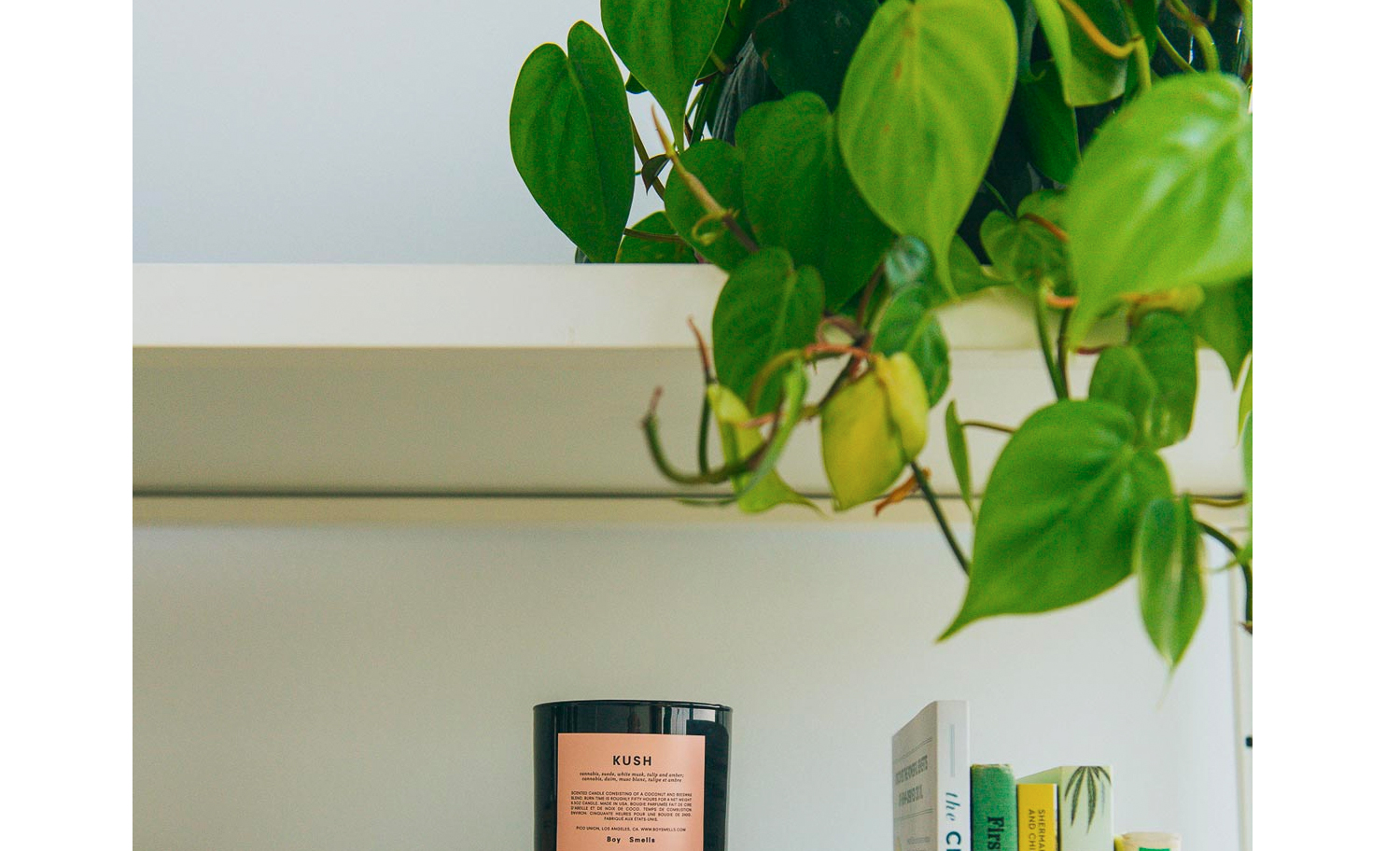 1500x912 zoerain cresco 10