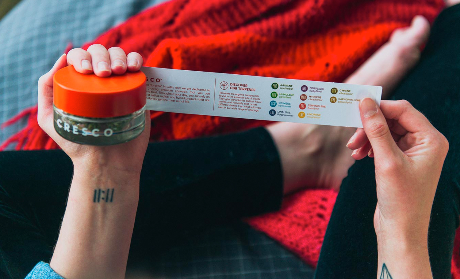 1500x912 zoerain cresco 12