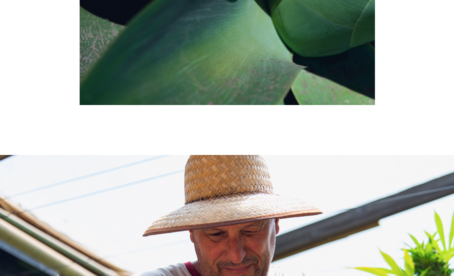 1500x912 zoerain cresco 18