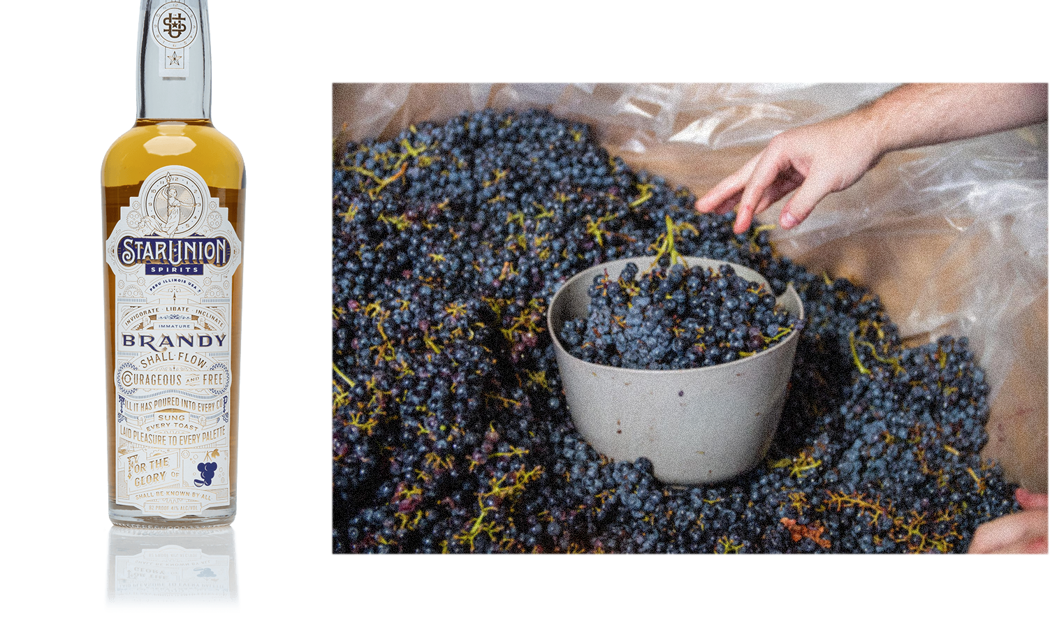 fullimg 1500x912 SUS grape brandy 04b grape brandy image