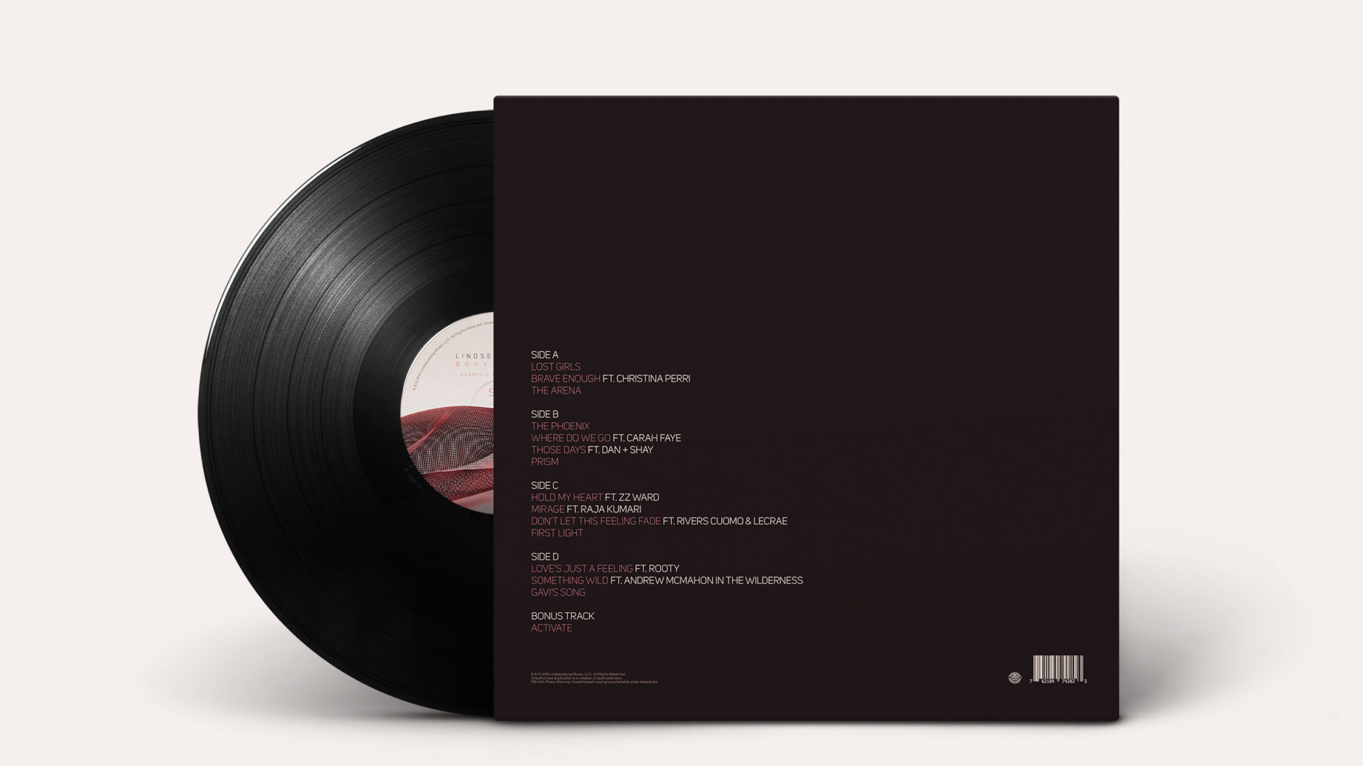 04 diftype LS vinyl mockup back 04 diftype LS vinyl mockup back