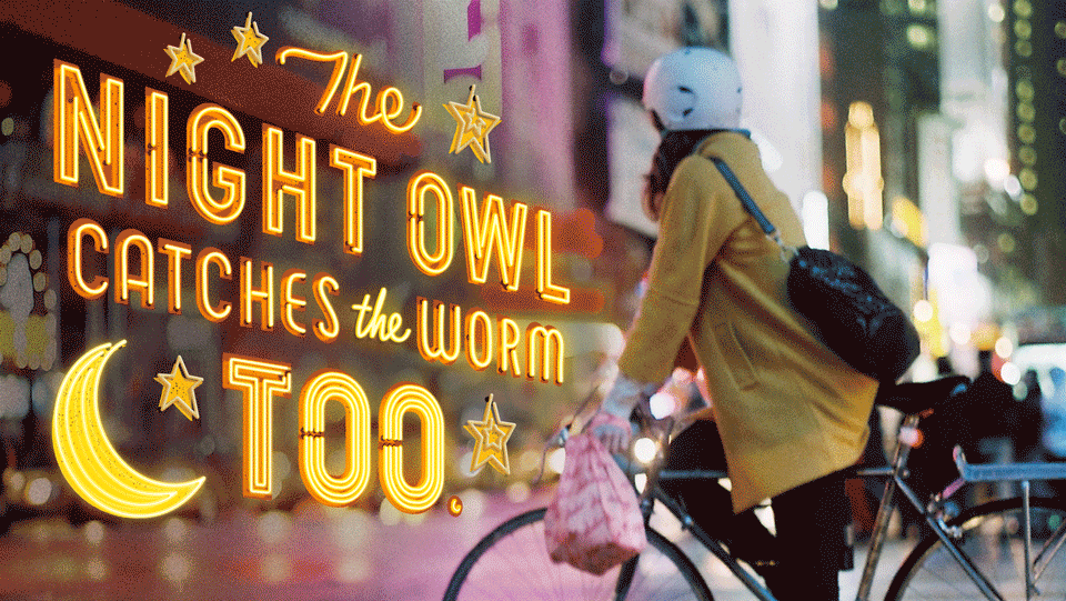NightOwl GIF7 NightOwl GIF7