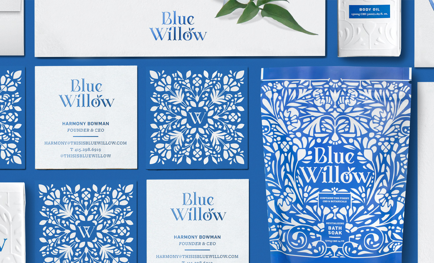 1500x912 KCS BlueWillow 01 1500x912 KCS BlueWillow 01