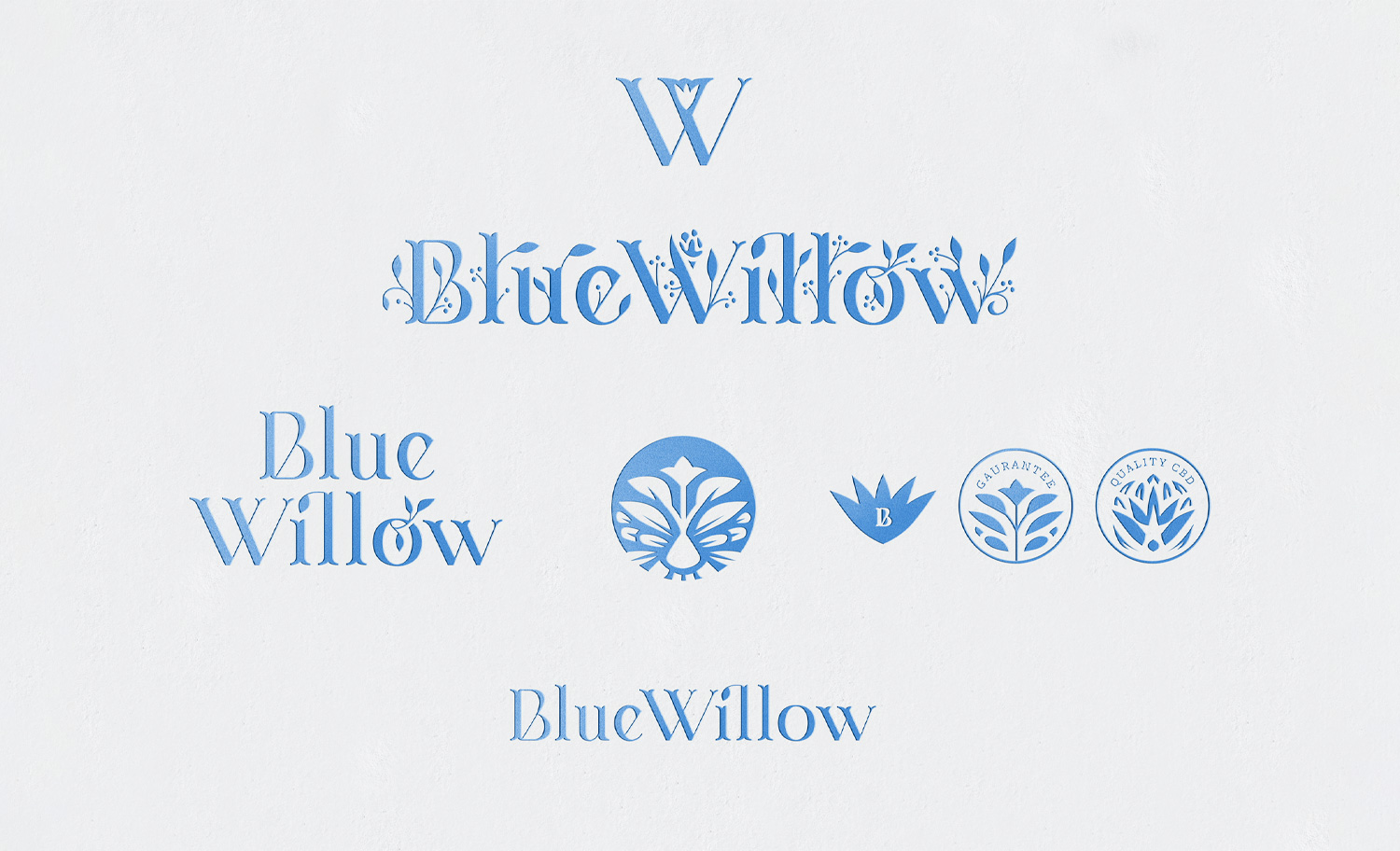 1500x912 KCS BlueWillow 10 1500x912 KCS BlueWillow 10