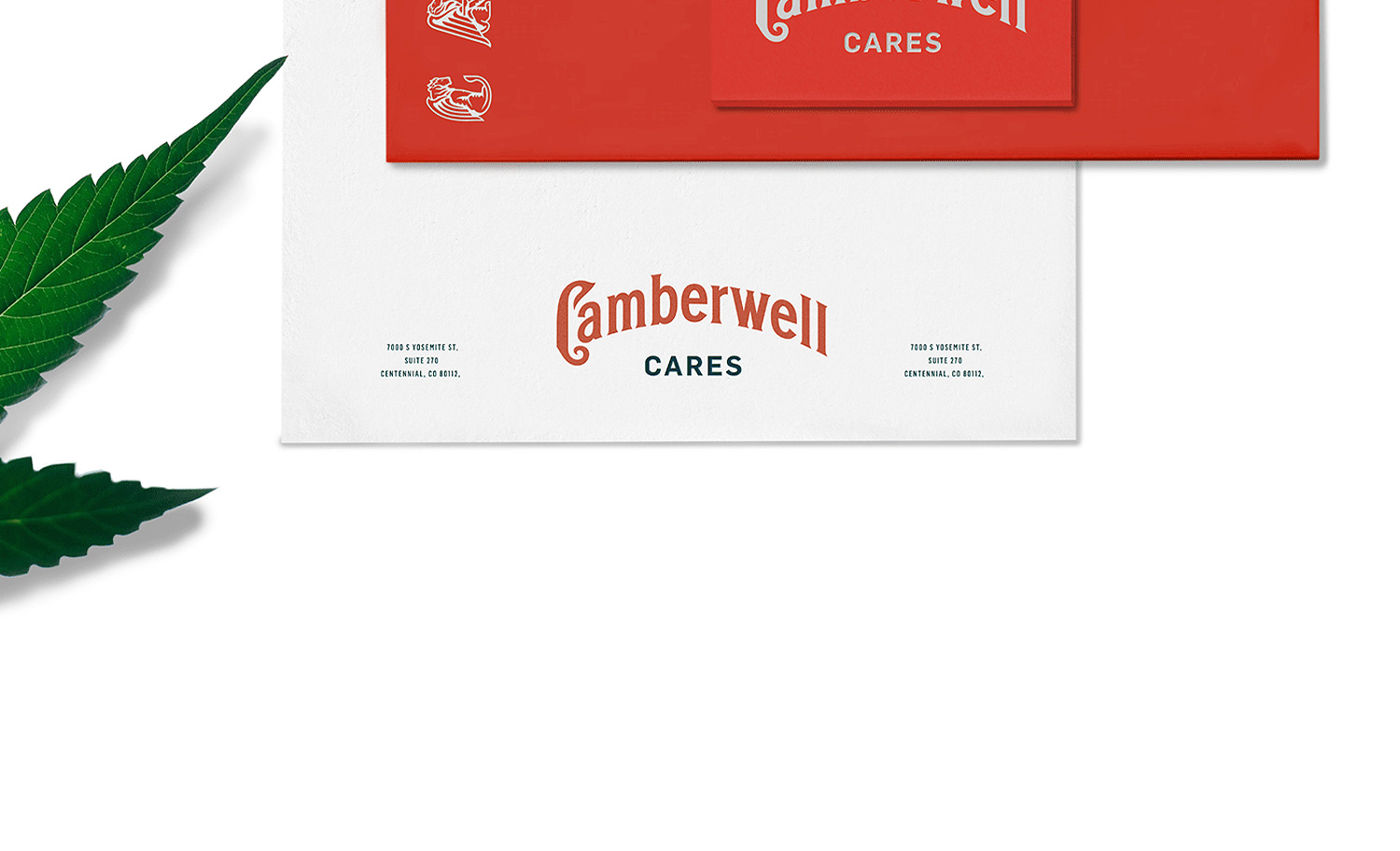 1500x912 KCS Camberwell 12 D Camberwell Cares Cannabis Branding Logo