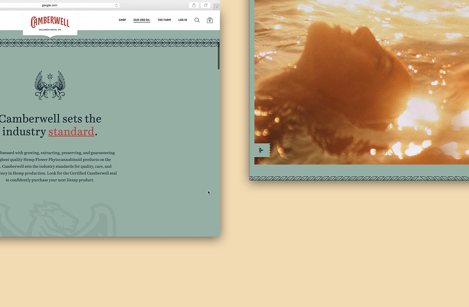 1500x912 SO Camberwell Interactive reworked webspread C Camberwell Interactive Website Design